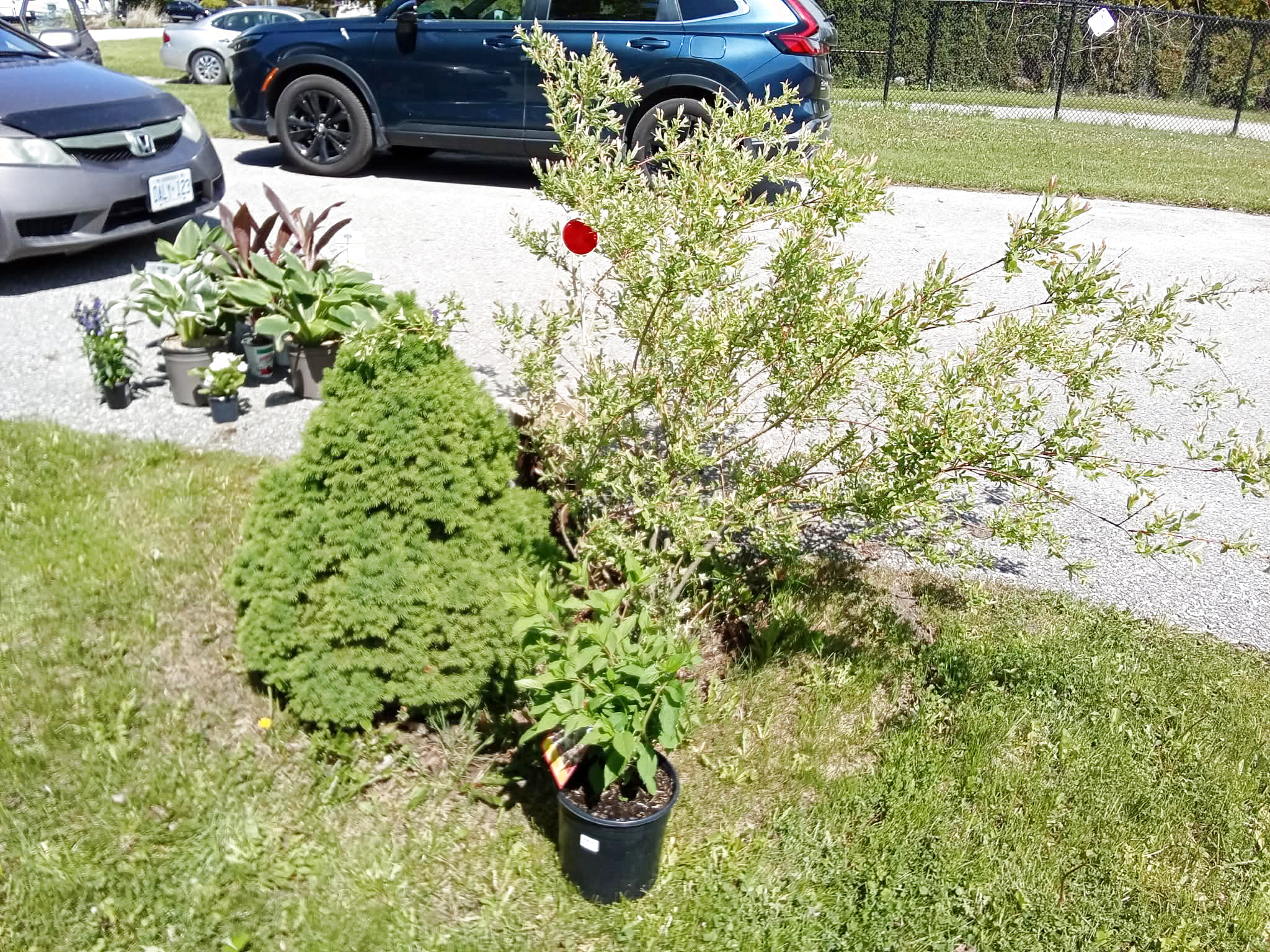 Garden Design
