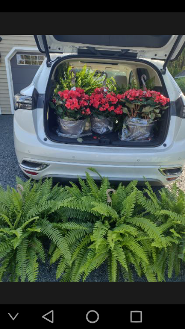 Plants loaded up and ready for delivery to a client