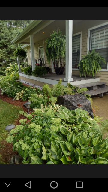 Front porch garden design with hostas, ferns and hanging baskets